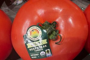 Nové clo zaťaží mexické paradajky 17 % poplatkom.