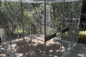 Voliera pre krkavca 3x3x2,5m s dvoma kŕmnymi pultami na 3 misky potiahnutá pleti...