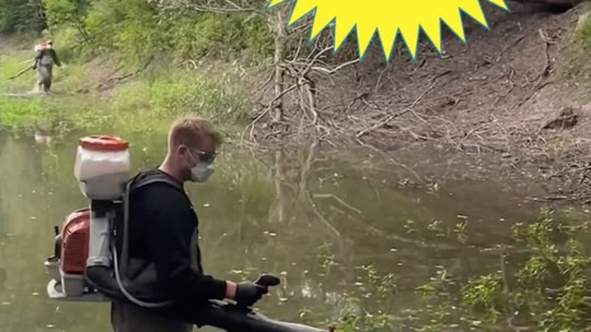 Mesto Bratislava: „Zásah proti komárom v Devíne na 30 000 m²“