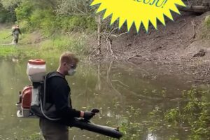 Mesto Bratislava: „Zásah proti komárom v Devíne na 30 000 m²“