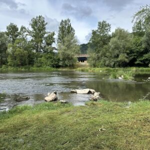 Mesto Považská Bystrica: „Začala výstavba lávky cez Váh prepojujúca turist...