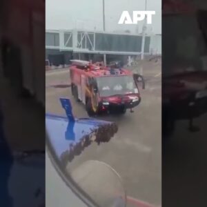 IndiGo let Surat-Jaipur oneskorený kvôli roju včiel na batožinových dverách