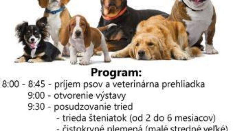 Mesto Lučenec: „Pozvánka: Kynologický Klub Agilis v Lučenci 23.8.2015“