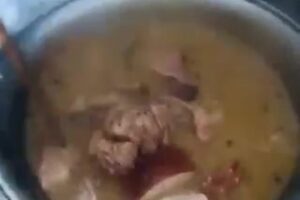 Mesto Turzovka: „Vianočná kapustnica a jelítko pri Jednote“