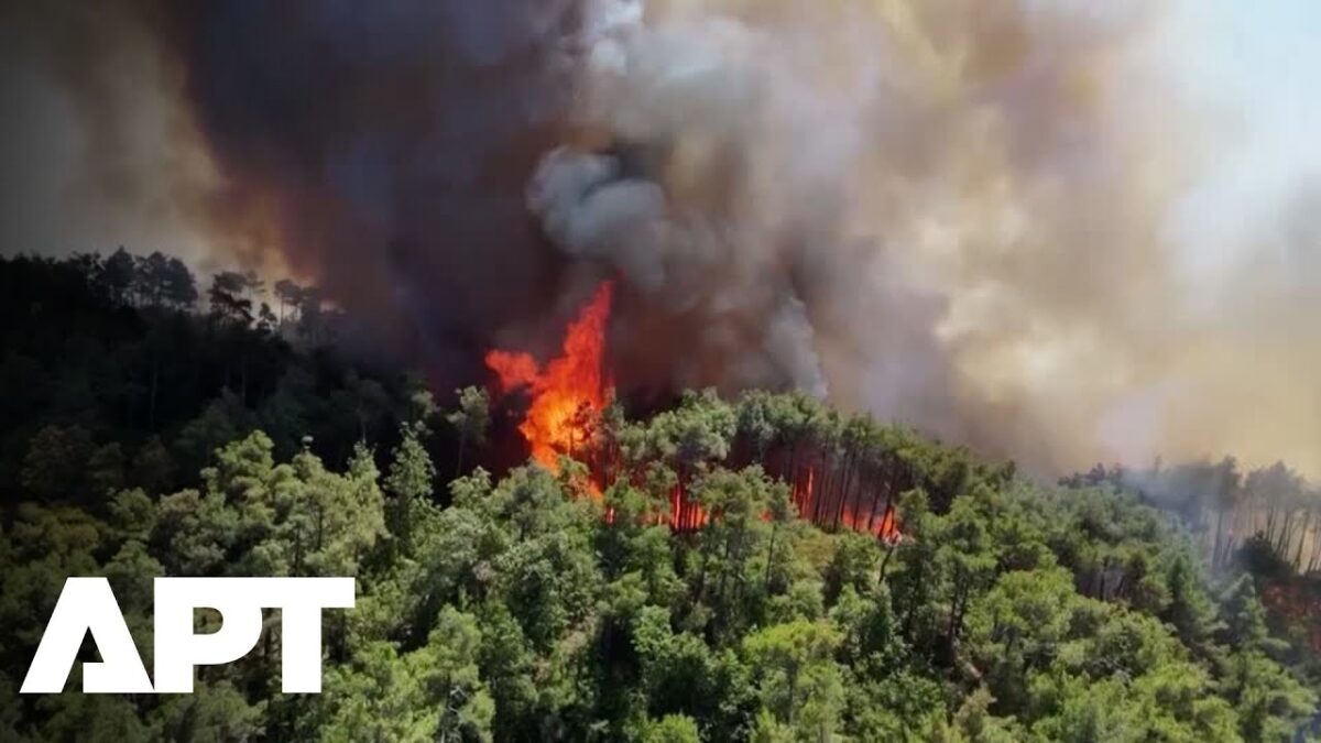 Požiare ničia vidiek v Latakii, sýrska civilná obrana bojuje s plameňmi už piaty deň