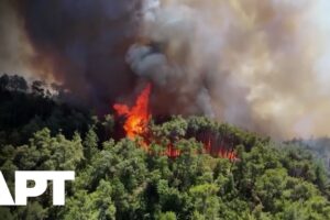 Požiare ničia vidiek v Latakii, sýrska civilná obrana bojuje s plameňmi už piaty...