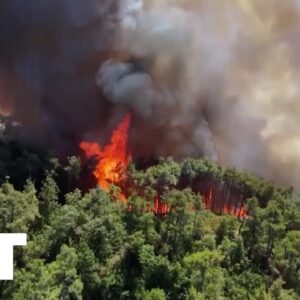 Požiare ničia vidiek v Latakii, sýrska civilná obrana bojuje s Požiare ničia vidiek v Latakii, sýrska civilná obrana bojuje s plameňmi už piaty...