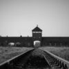 80. výročie oslobodenia koncentračného tábora Auschwitz-Birkenau
