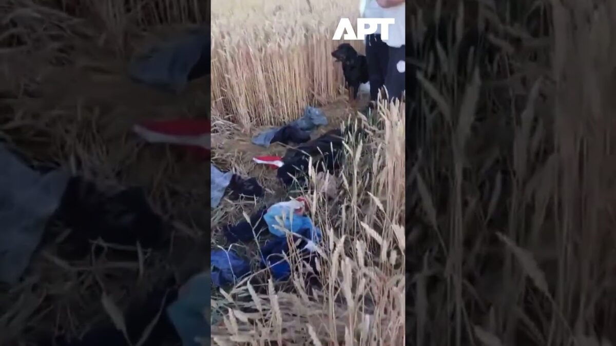 Napätia na hranici: Poľskí občania hliadkujú polia, aby zabránili migračným Napínajúca situácia na poľsko-nemeckej hranici: Občianske hliadky monitorujú príchod migrantov