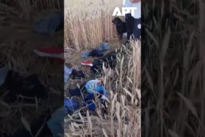 Napínajúca situácia na poľsko-nemeckej hranici: Občianske hliadky monitorujú prí...