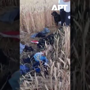 Napínajúca situácia na poľsko-nemeckej hranici: Občianske hliadky monitorujú prí...