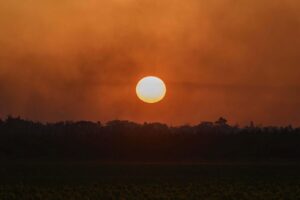 Štyri okresy v Nemecku vyhlásili stav núdze kvôli lesným požiarom.