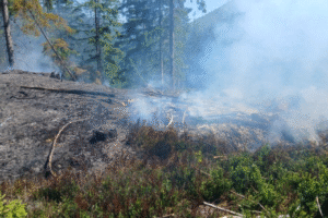Horiaci les pri obci na Liptove zasahujú hasiči.
