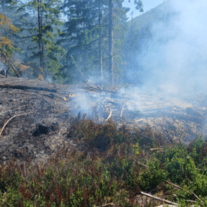 Horiaci les pri obci na Liptove zasahujú hasiči.