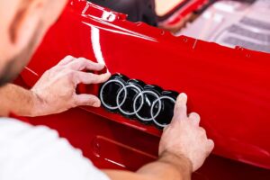 Ľudia nedovolia politikom diktovať, aké autá majú jazdiť.