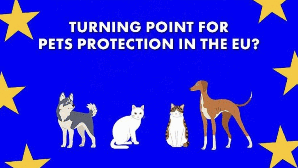 EÚ zavádza prvý zákon na ochranu psov a mačiek, bojuje proti nelegálnemu obchodu