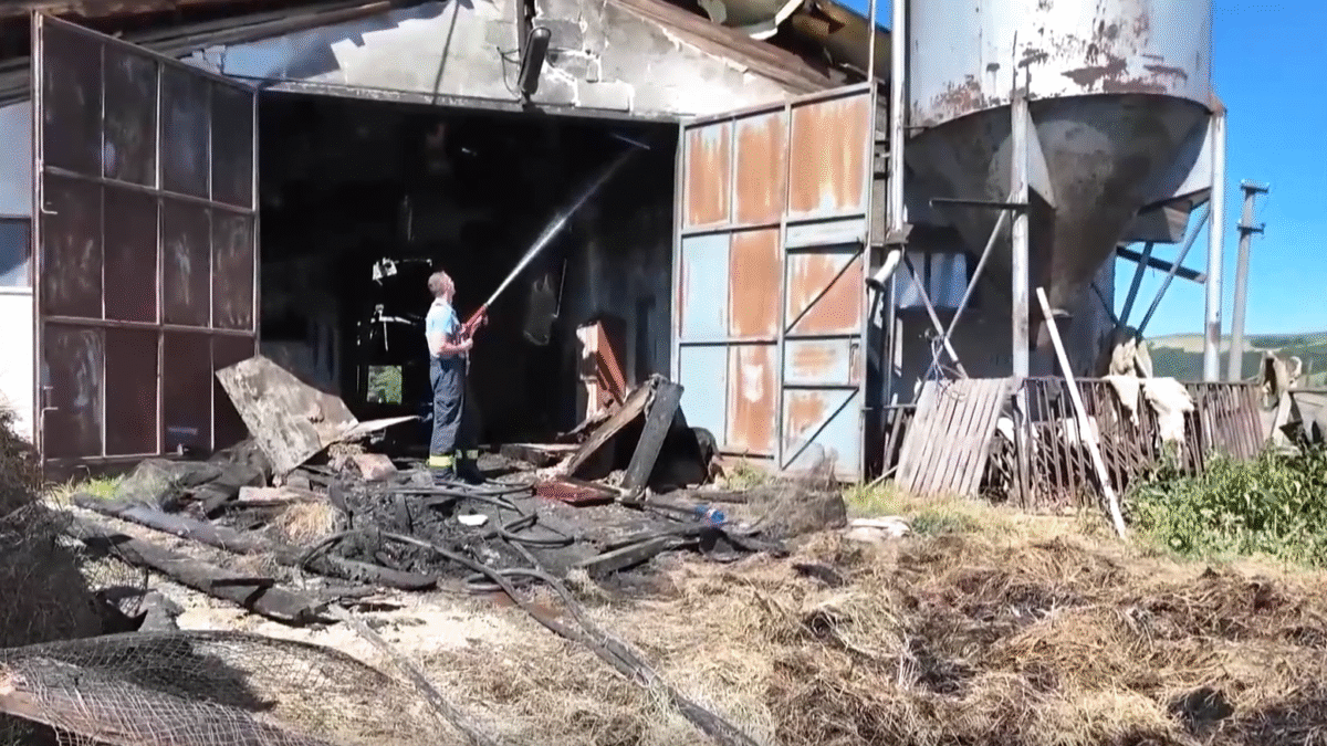 Chovatelia zo Šariša prišli pri požiari o desiatky oviec s jahňatami