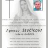 Mesto Trenčín: Agnesa Ševčíková
