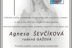 Mesto Trenčín: Agnesa Ševčíková