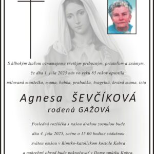 Mesto Trenčín: Agnesa Ševčíková