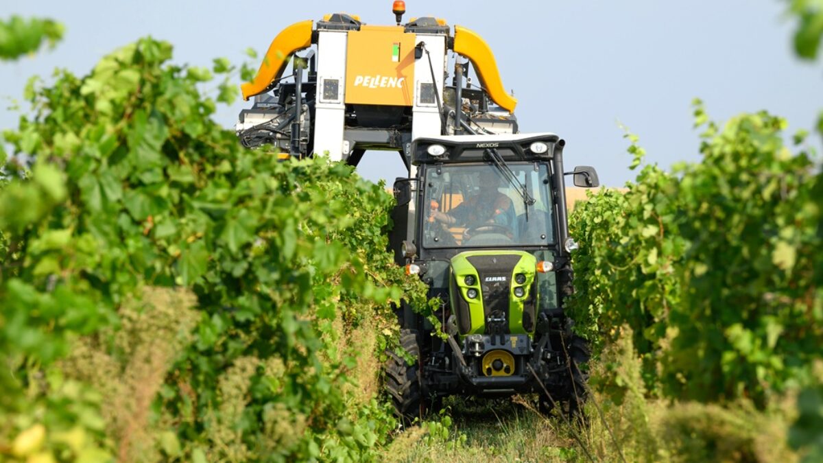 Hlavne zachovať európsku agropolitiku: Prieskum o vízii EÚ pre poľnohospodárstvo