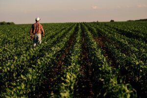 Vidiek v Amerike trpí hospodárskou krízou, keďže ceny plodín prudko klesajú.
