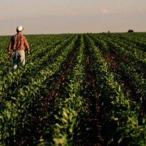 Vidiek v Amerike trpí hospodárskou krízou, keďže ceny plodín prudko klesajú.