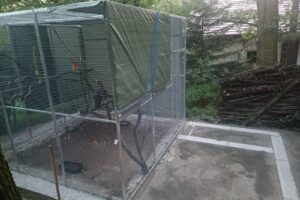 Zväčšenie stávajúcej voliery 3x3x2,5m  a s pripojením domčeka v hnedom dekore na...