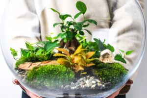 HOOMI: Keď kvety robia domov