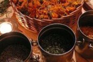 Ako predísť narušeniu imunitného systému?