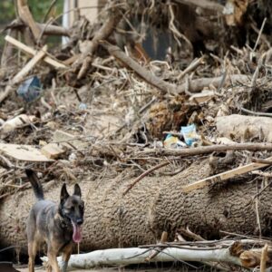 Trumpovi kritici vo FEMA poslaní na neurčitú dovolenku po kritike škrtov v nesúh...