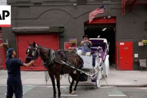NYC: Povozník tvrdí, že navrhovaný zákaz je viac o peniazoch ako o dobrých podmi...