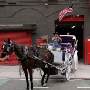 NYC: Povozník tvrdí, že navrhovaný zákaz je viac o peniazoch ako o dobrých podmi...