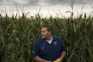 „Akoby si kukurica nikdy nemohla oddýchnuť. Stále je len horúco“: Ak...