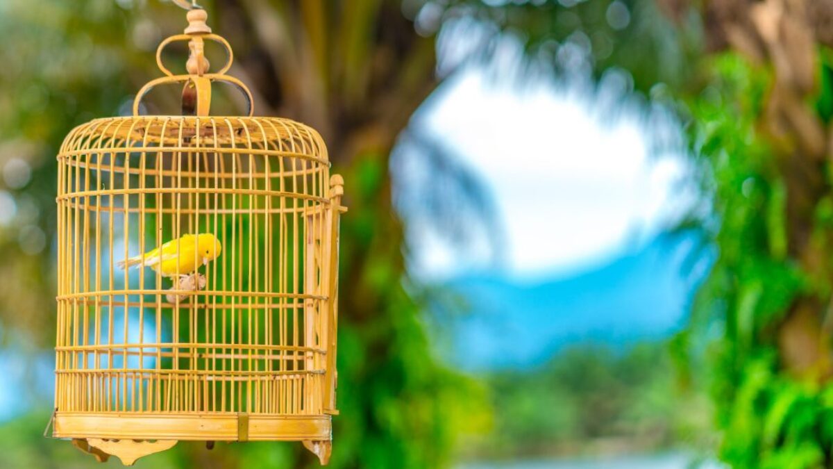 Pracovno-súkromná rovnováha je pasca, tvrdí generácia Z, ktorá vybudovala multimiliónové spoločnosti, a uvádza 5 spôsobov, ako „bezohľadne optimalizovať“ počas vrcholných rokov.