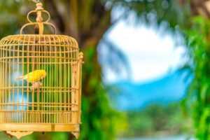 GettyImages-652563534-e1756059304186.jpg Pracovno-súkromná rovnováha je pasca, tvrdí generácia Z, ktorá vybudovala multim...