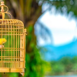 Pracovno-súkromná rovnováha je pasca, tvrdí generácia Z, ktorá vybudovala multim...