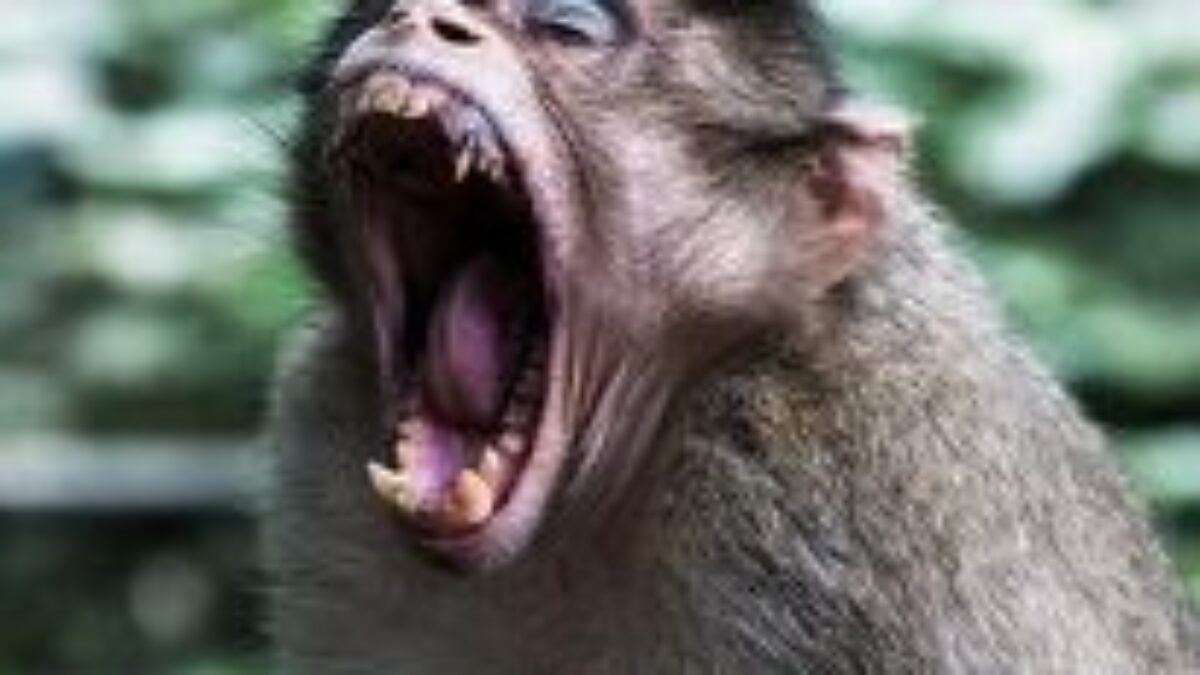 4 tipy, ako sa nenechať „vytočiť“