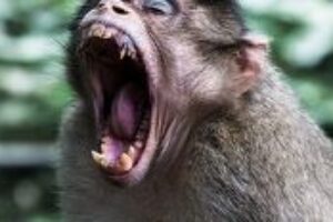 4 tipy, ako sa nenechať „vytočiť“