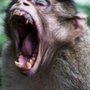 4 tipy, ako sa nenechať „vytočiť“