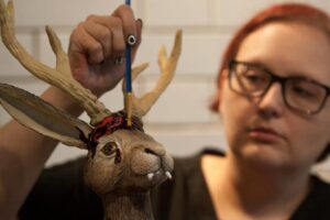 Králikom v Colorade začali rásť rohy a chápadlá, podivné výrastky desia miestnyc...