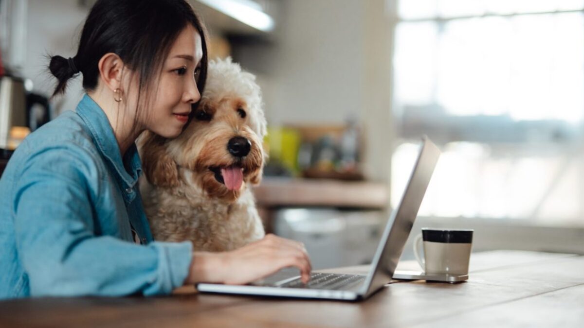 GettyImages-1351642561-e1755610170506.jpg Bývalý komisár SEC a riaditeľ spoločnosti zaoberajúcej sa AI: Budúcnosť s umelou inteligenciou je inšpirujúca, ale vyžaduje si plánovanie a prácu.