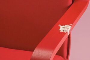 IKEA v kampani využíva vtáčí trus. Tvrdí, že je súčasťou života.