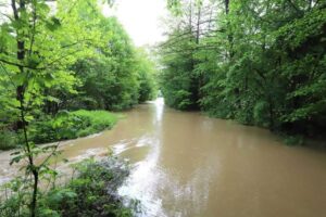 V rieke Hron v Čate sa utopila matka s dieťaťom.