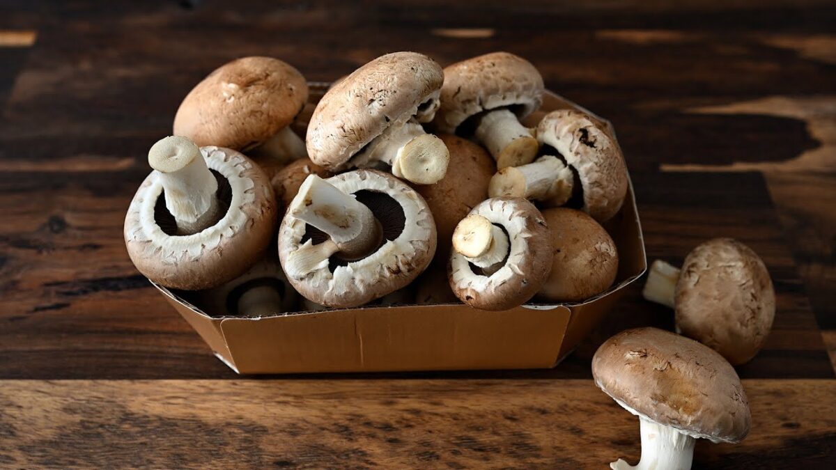 Máte doma huby? Jednoduchý a veľmi chutný recept!