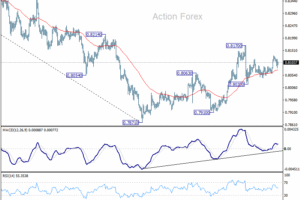 USD/CHF: Poludňajší výhľad