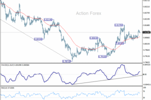 USD/CHF Denný výhľad