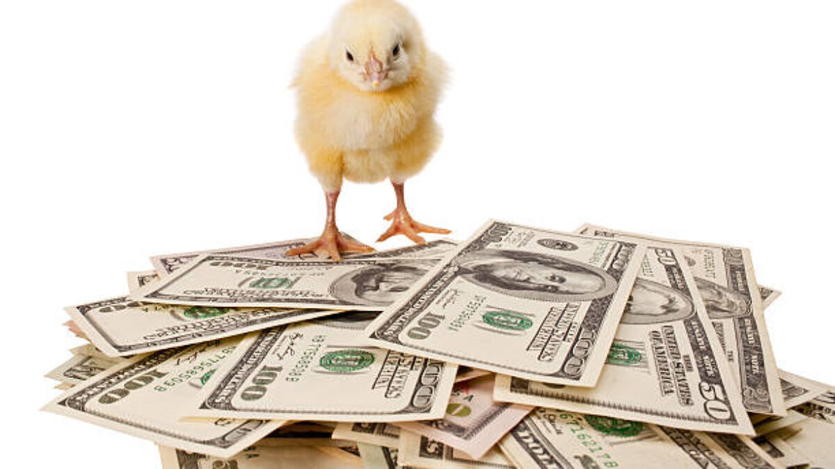 Zelená bankovka vedie pred Trumpovým volaním po clách na Čínu, RBA zameraná na zníženie sadzieb.