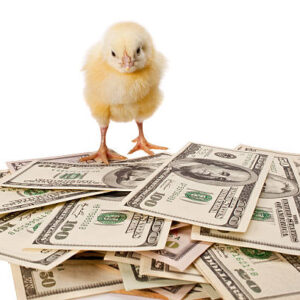 Zelená bankovka vedie pred Trumpovým volaním po clách na Čínu, RBA zameraná na z...