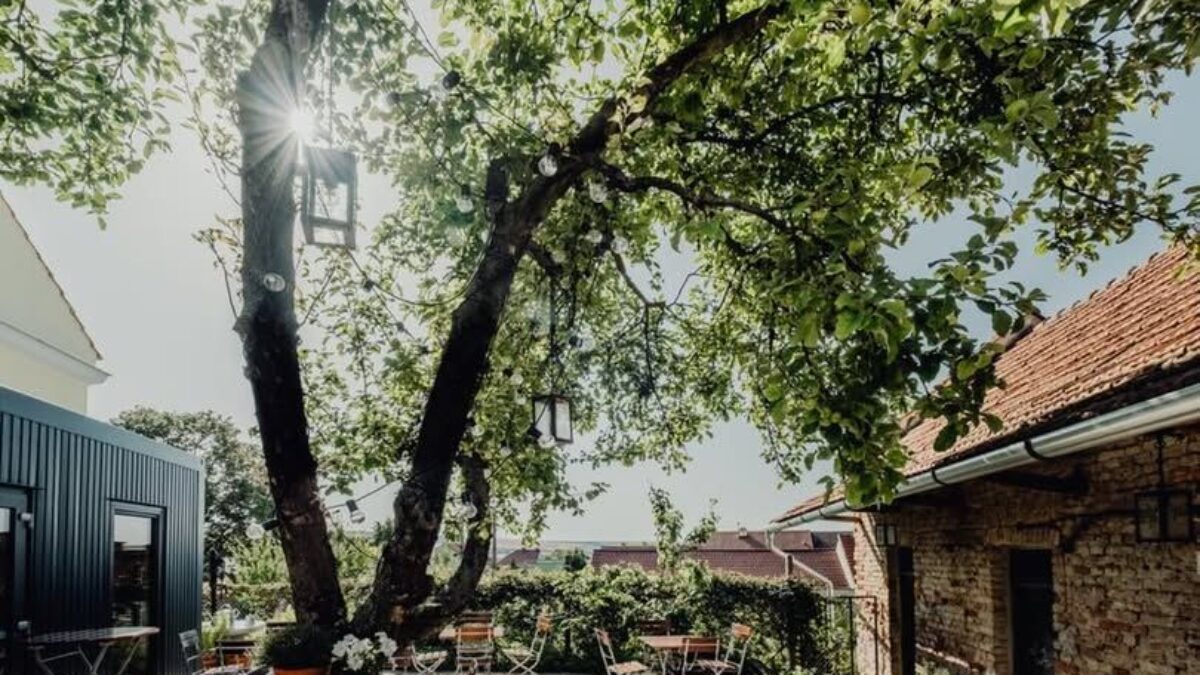 Zanedbaný farský dvor sa premenil na gastronomický raj. Ako jedna jabloň zmenila Bořetice